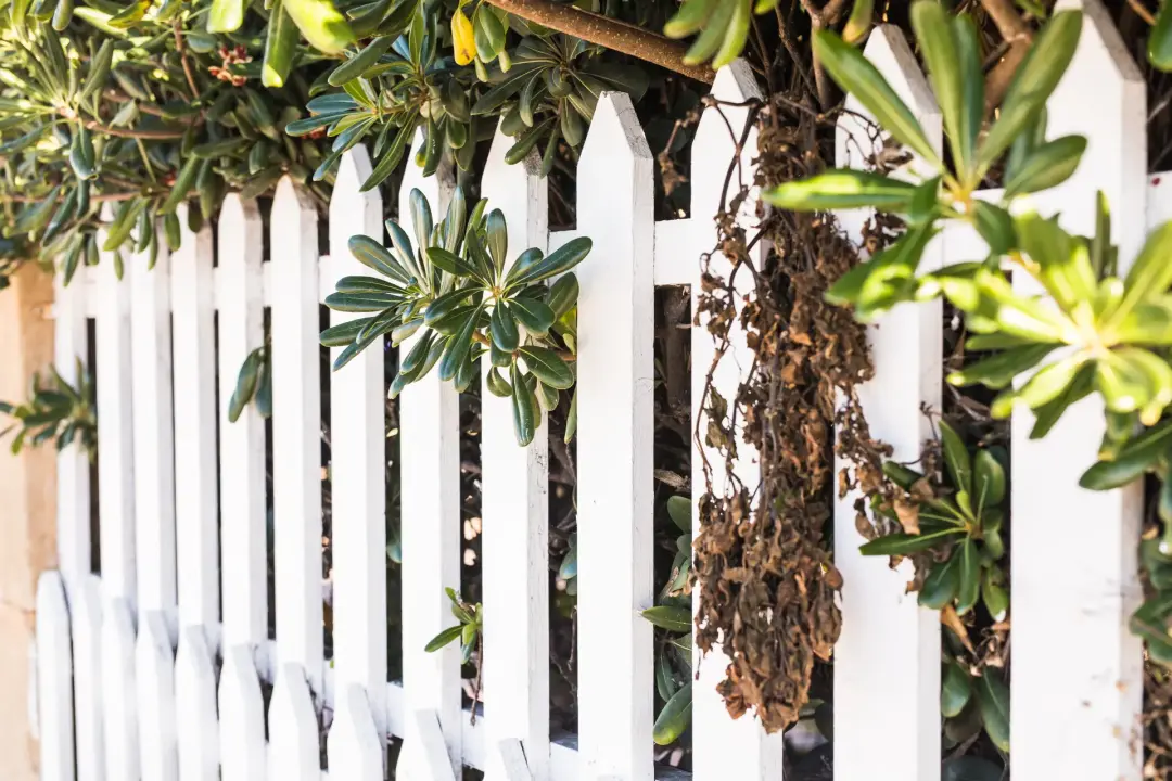 Fencing Installation Prices