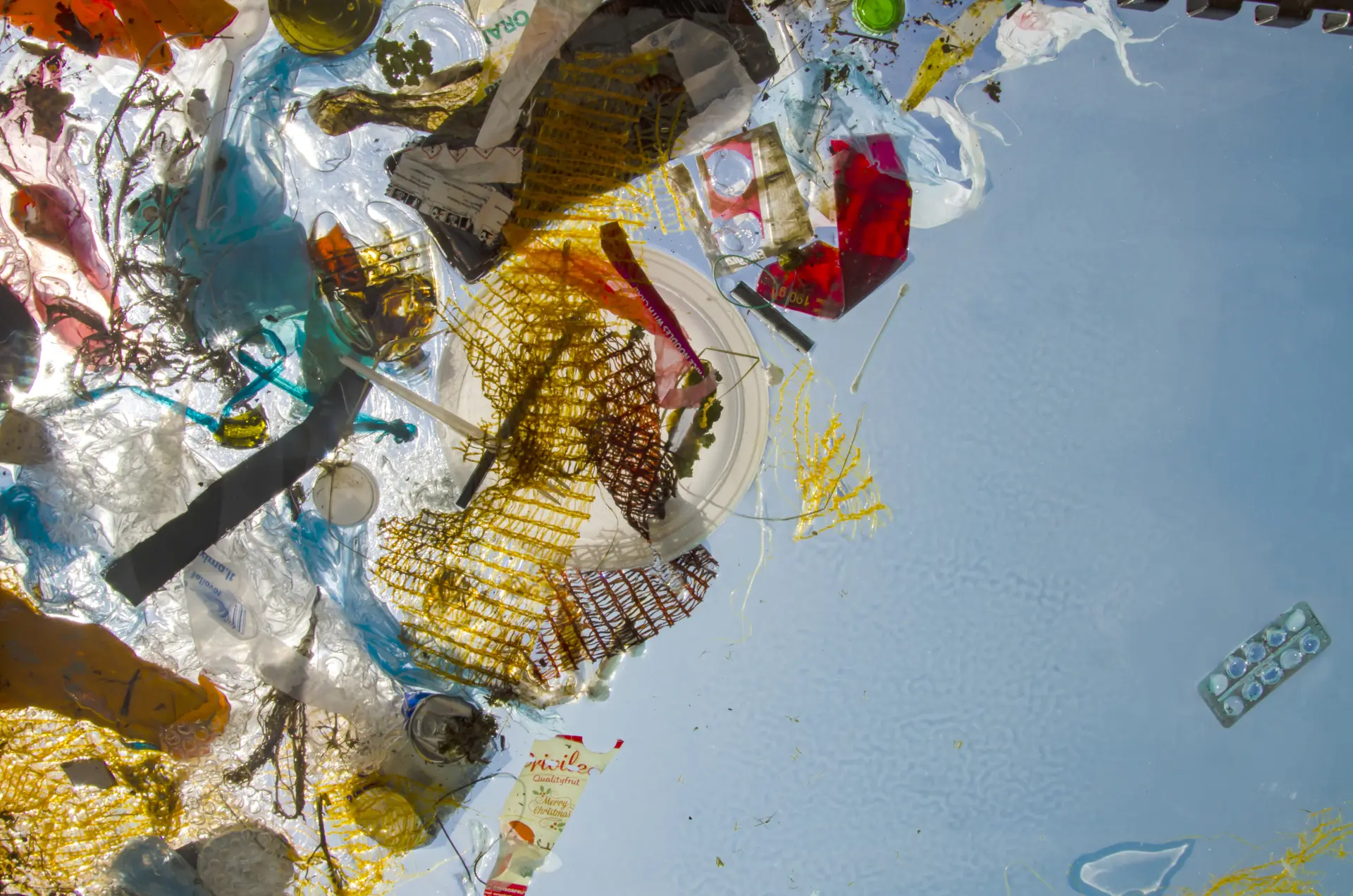 Plastic in Environmental Damage - Impact of Poor Waste Disposal