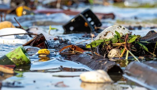 Hazardous Waste in Nature {area}