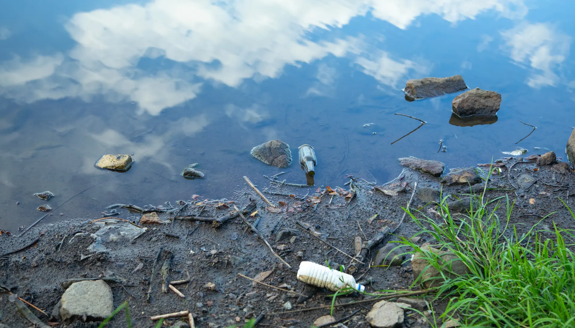 The Environmental Impact of Poor Waste Disposal Explained