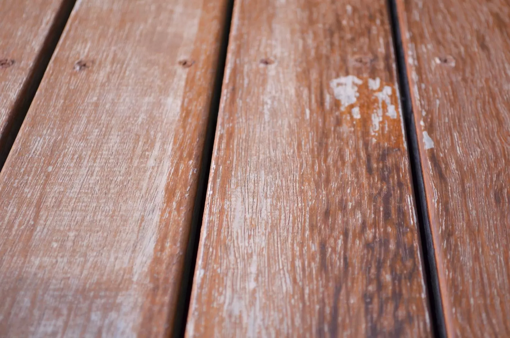Mould - Common Decking Problems 