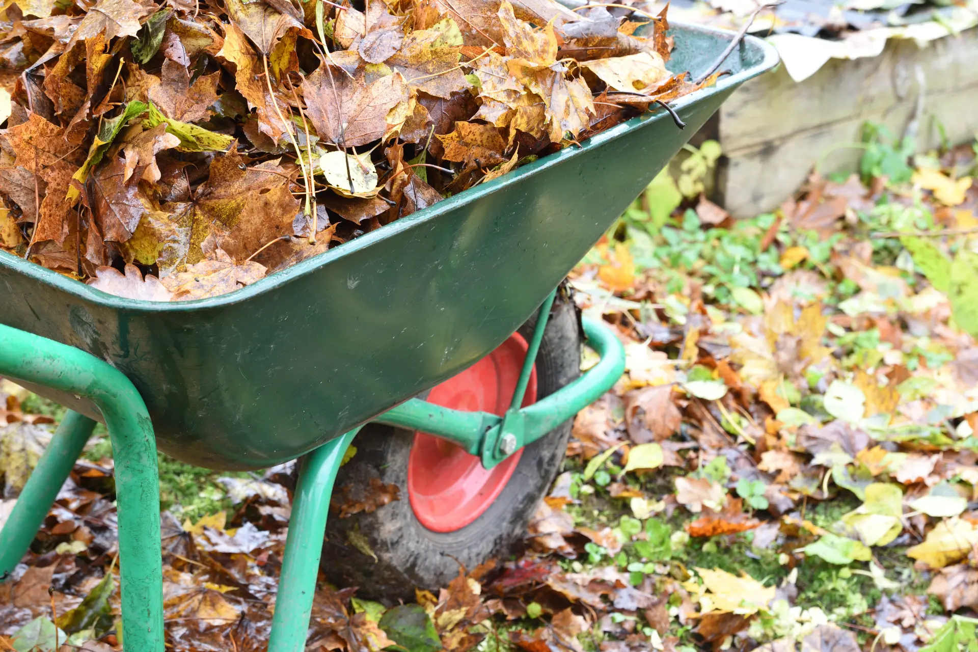 The Benefits of Clearing Garden Waste Regularly Image