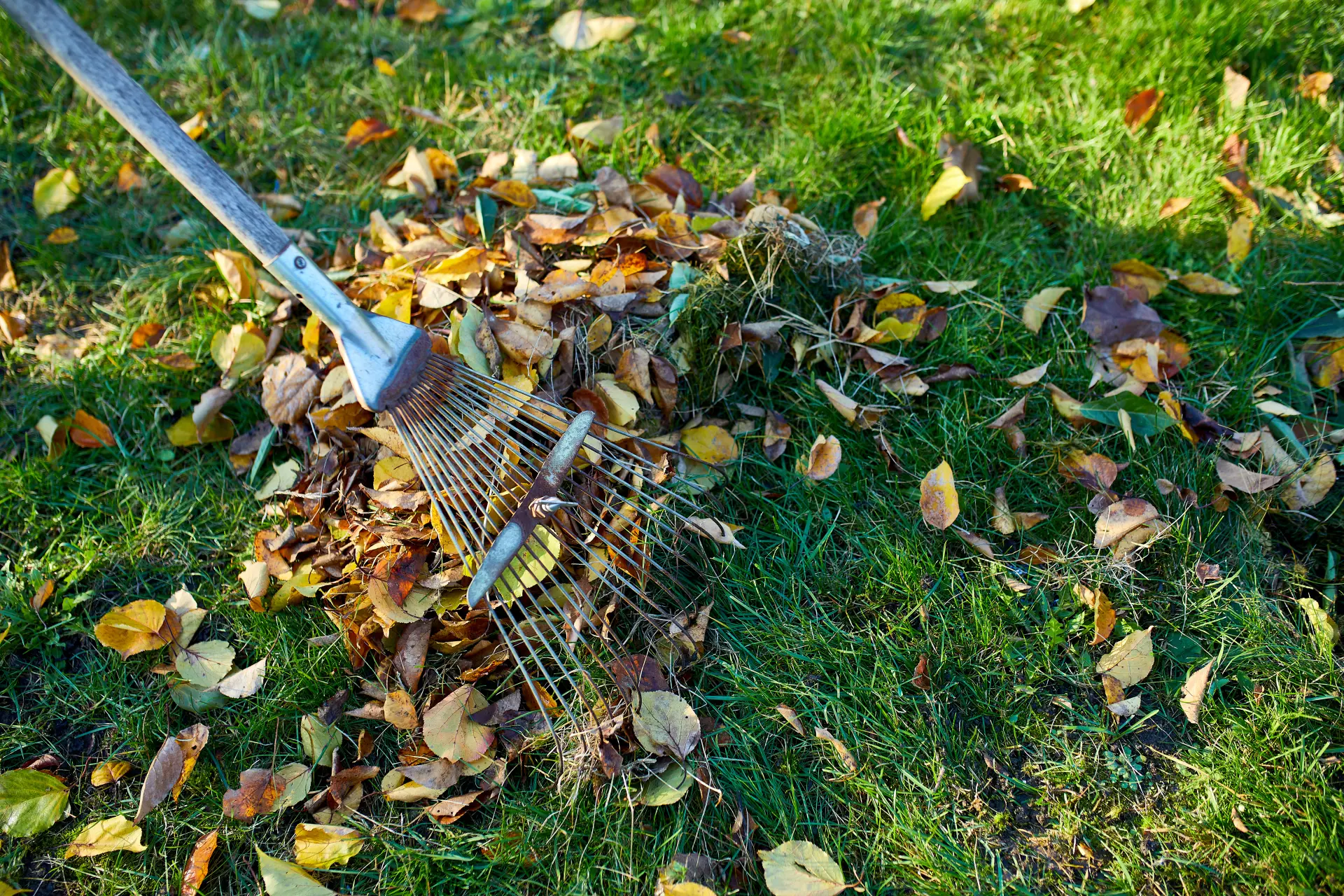 Garden Clearance - How it Helps Remove Bad Odours