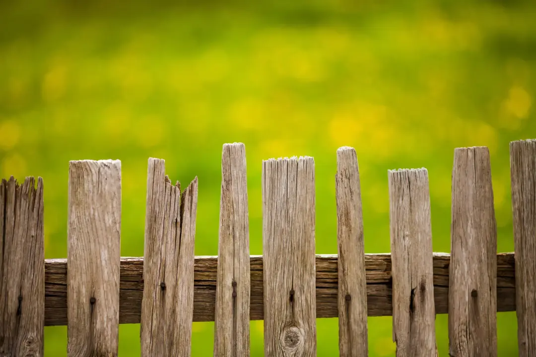 Loose or Broken Fence Panels