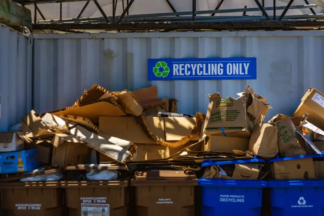 Sustainable Commercial Waste Practices for UK Businesses