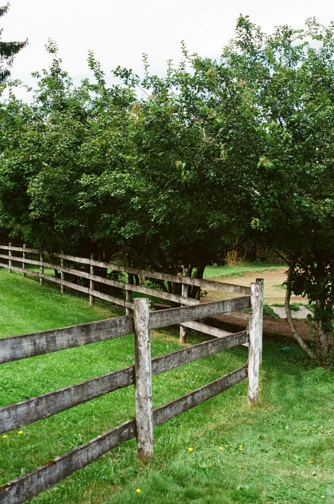 How to Repair a Fence After Strong Winds How to Repair a Fence After Strong Winds Image