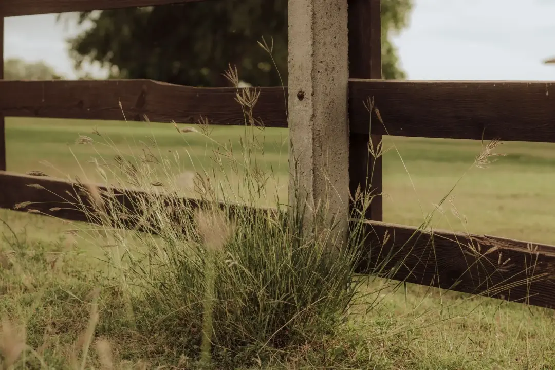 Rot, Rust, or Loose Fence Posts