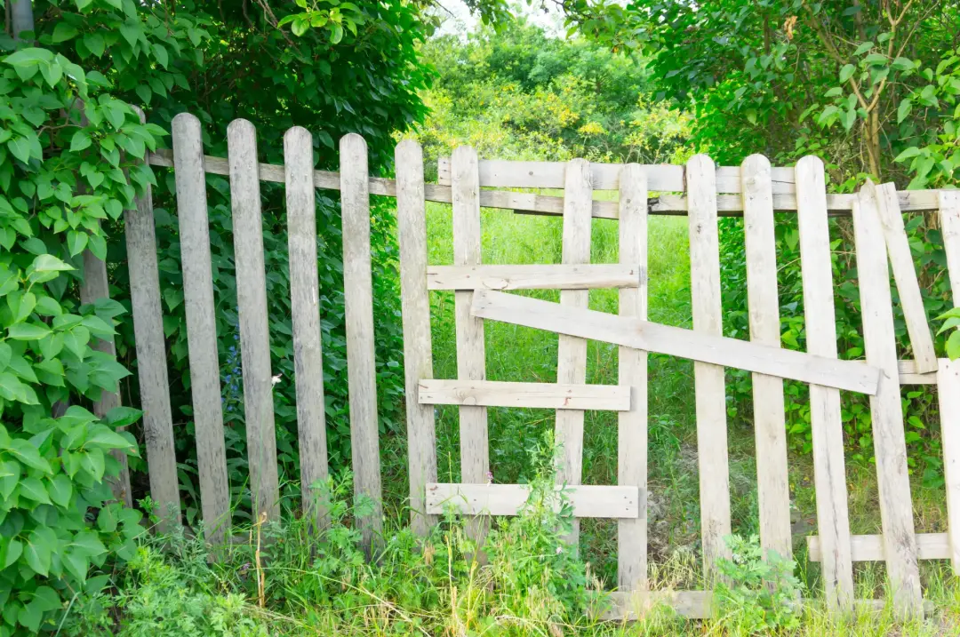 Loose Fence Panels and Boards