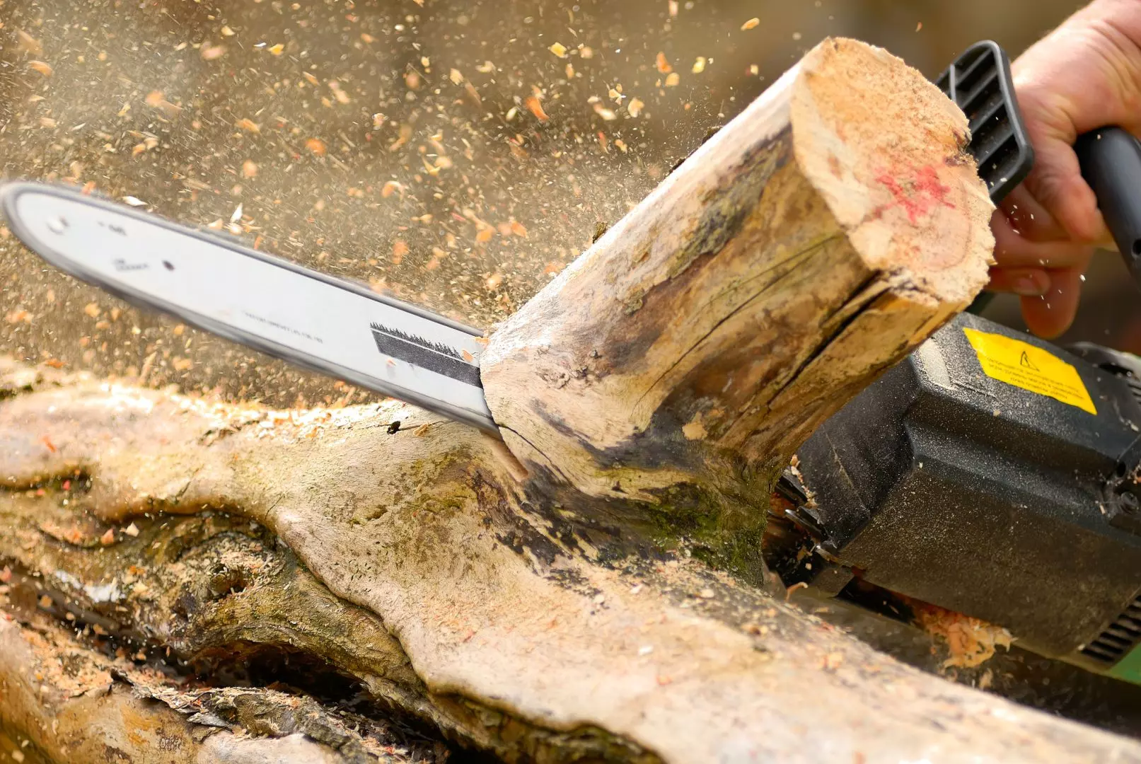 Timber Suppliers in Eastbourne, Brighton and Hastings
